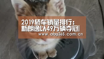 2019轿车销量排行:新朗逸以49万辆夺冠|欧博官网(图2) 欧博ABG最新版本