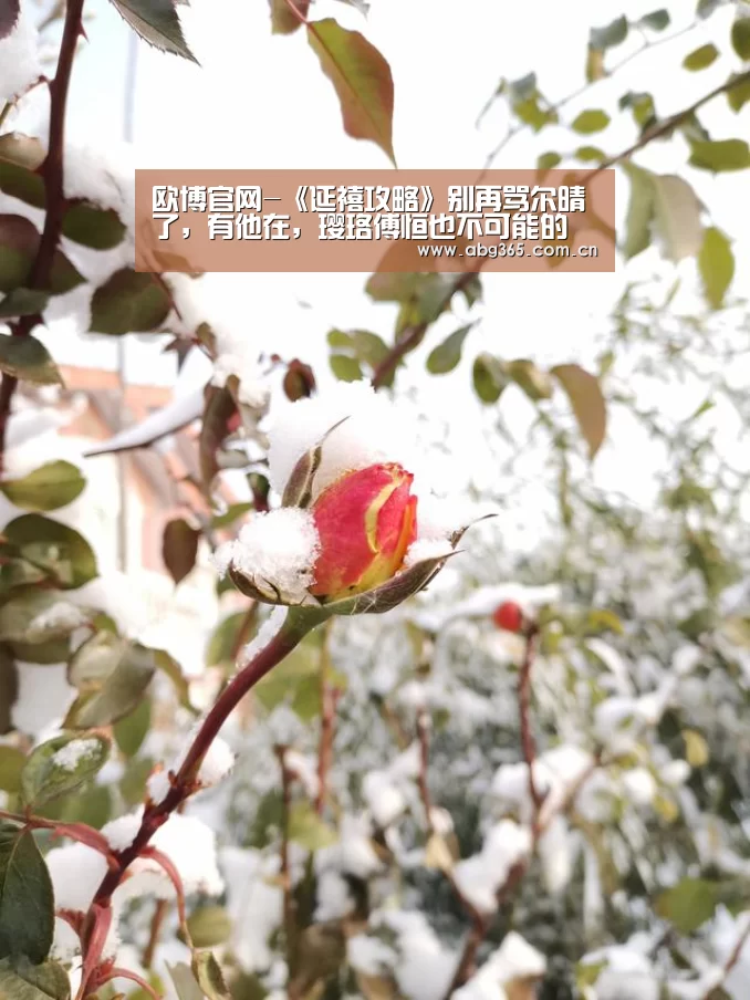 欧博官网